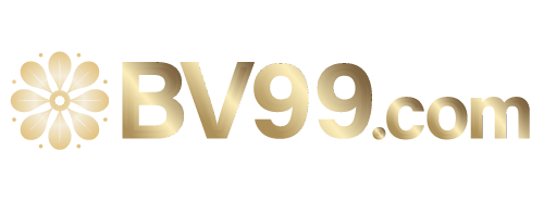 bv99.com